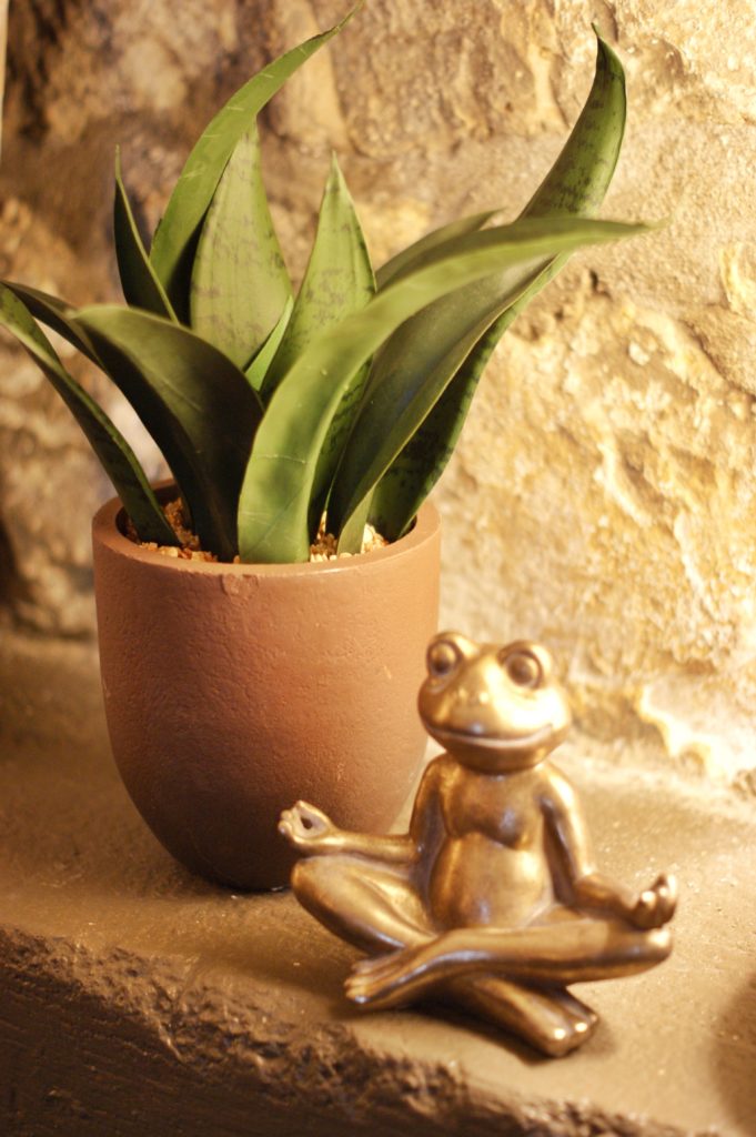 tranquil frog statue