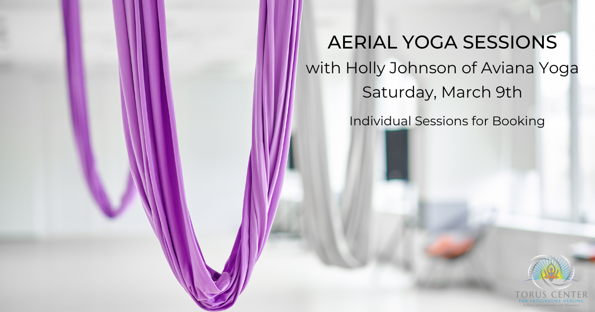 aerial-yoga-booking